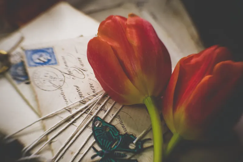 Cartas antiguas con sellos postales junto a dos tulipanes rojos