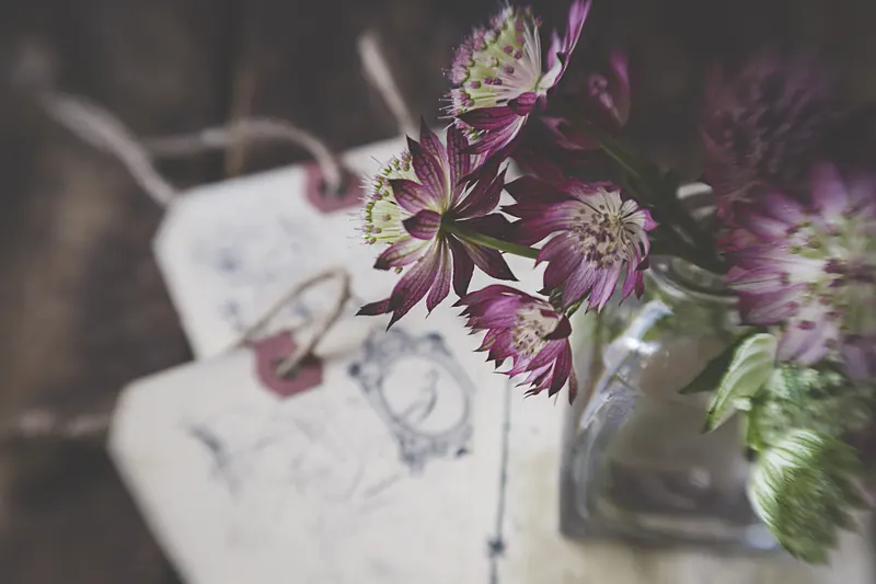 Etiquetas de papel con cordel junto a flores moradas en un florero de vidrio