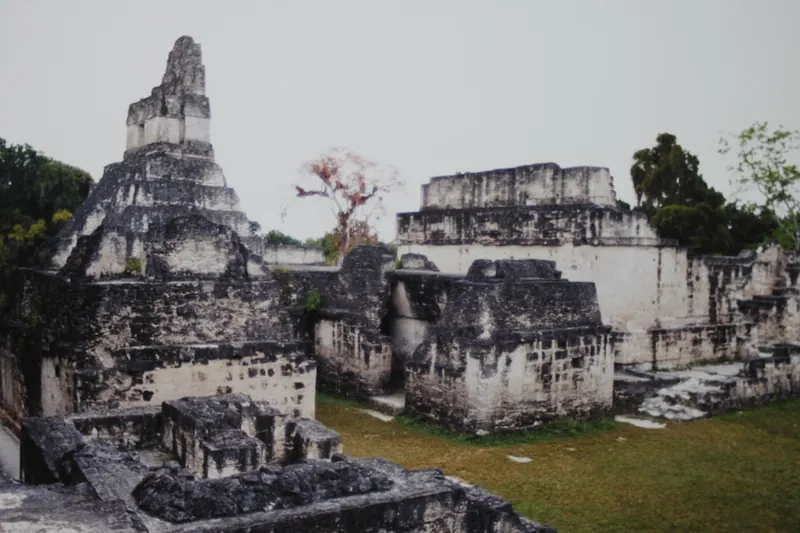 Templos de piedra de la Acrópolis Central de Tikal rodeados de vegetación, en Petén, Guatemala