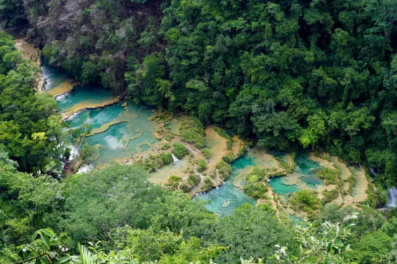 Pozas de agua turquesa rodeadas de selva vistas desde un mirador en Semuc Champey, Guatemala