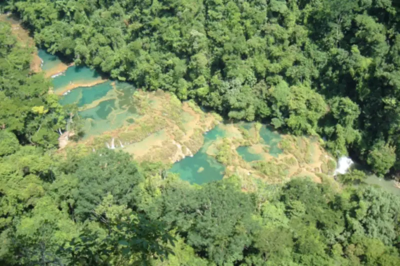 Vista desde lo alto de las pozas naturales de Semuc Champey rodeadas de vegetación