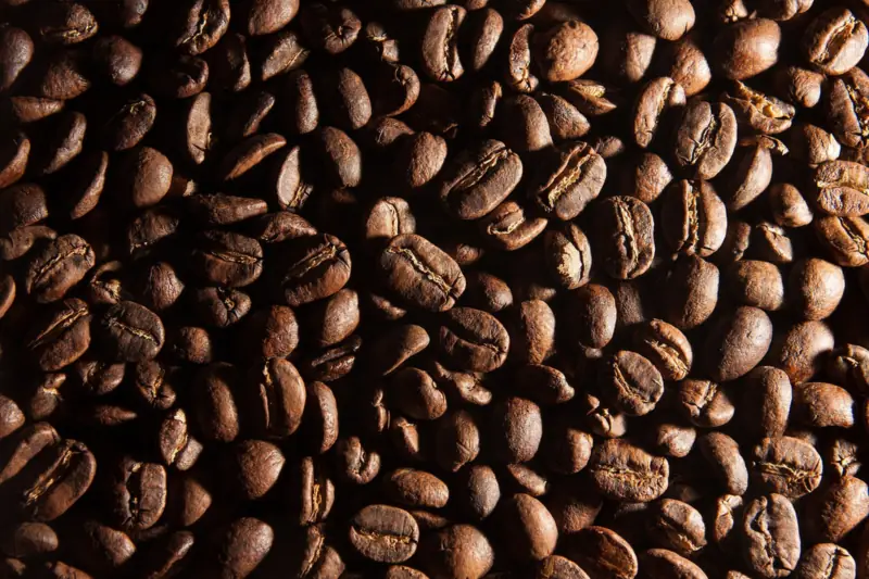 Granos de café tostado iluminados desde un lado, vista muy cercana